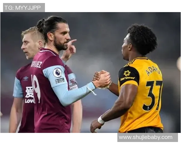 布拉迪对阵狼队的精彩对决分析与赛前预测 布拉迪对阵狼队的精彩对决分析与赛前预测