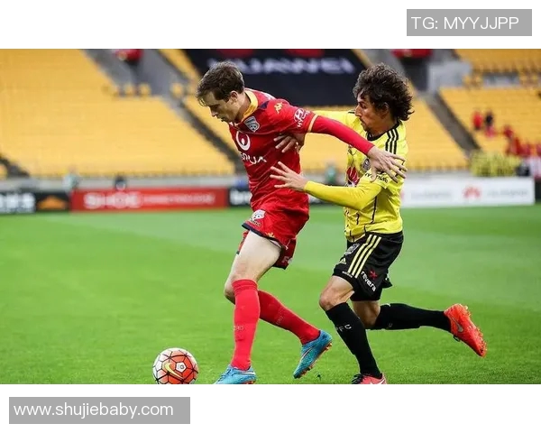 悉尼FC与墨尔本胜利的精彩对决分析及战术探讨